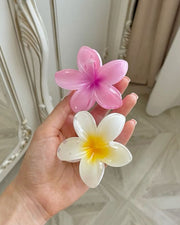 Prensa Hawaianas para Cabello