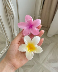 Prensa Hawaianas para Cabello